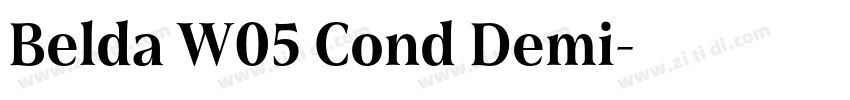 Belda W05 Cond Demi字体转换